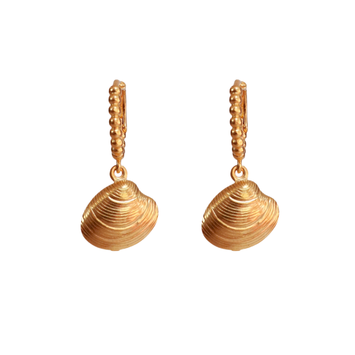 Clam Shell Earrings
