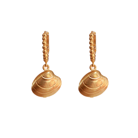 Clam Shell Earrings