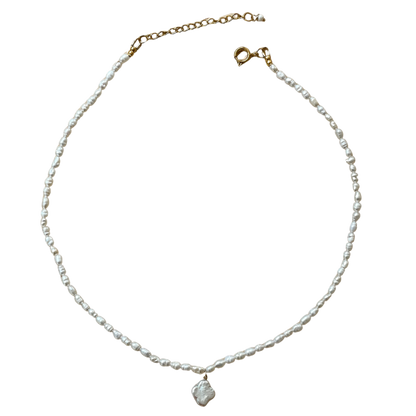 Lucky Necklace